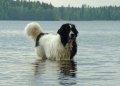 100519 291 Nelly i badet brm