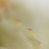 _70F3641