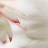 _70F3675