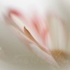 _70F3682