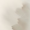 _70F3431