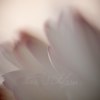 _70F3435