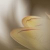 _70F3461