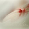 _70F3483