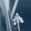 _70F1576