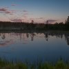 Knuthöjdsmossen, Västmanland