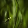 _70F4887