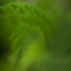 _70F4927