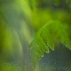 _70F4929