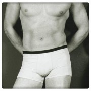 Boxer Herr