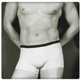 Boxer Herr