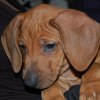 privatebilder 2011 M-LITTER 67UKER 036