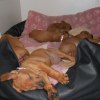 privatebilder 2011 M-LITTER 67UKER 041