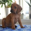 privatebilder 2011 M-LITTER 67UKER 070
