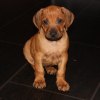 privatebilder 2011 M-LITTER 6 UKER 120