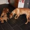 privatebilder 2011 M-LITTER 6 UKER 030