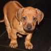 privatebilder 2011 M-LITTER 6 UKER 117