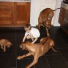 privatebilder 2011 M-LITTER 6 UKER 031