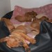 privatebilder 2011 M-LITTER 67UKER 041