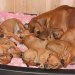 privatebilder 2011 M-LITTER 6 UKER 050
