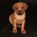 privatebilder 2011 M-LITTER 6 UKER 120