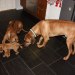 privatebilder 2011 M-LITTER 6 UKER 030