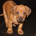 privatebilder 2011 M-LITTER 6 UKER 117