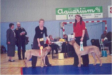 Dekela och Dansa