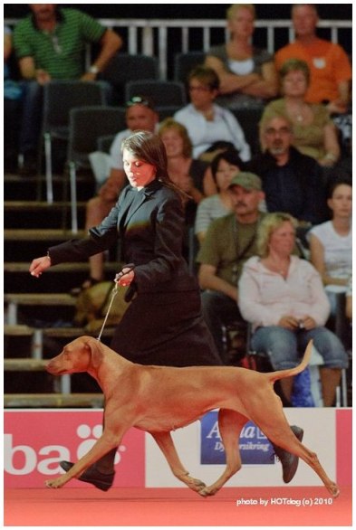Gaby in the group final at the WDS 2010