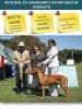 OSSHY-DOGWORLD JUNE 2011