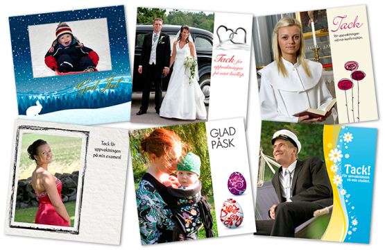 Foto fr. v: Josefine Mellberg, Benny Martinsson, Christer Robertsson, Lena Ehring, Jens Wadenius, Lena Ehring