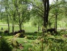 natur miljö