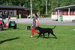 SSRK Utställning juni 2011 008