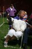 SSRK Utställning juni 2011 015