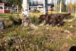 IMG_2376