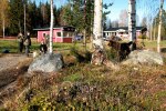 IMG_2378