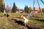 IMG_2380