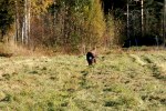 IMG_2399