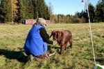 IMG_2401