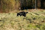 IMG_2404