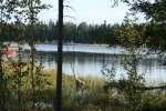 sommaren 2009 158