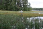 sommaren 2009 162