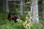 sommaren 2009 166