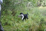 sommaren 2009 177