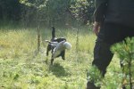 sommaren 2009 188