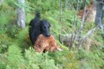 sommaren 2009 200