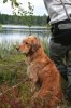 sommaren 2009 207