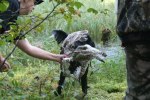 sommaren 2009 217