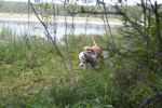 sommaren 2009 223