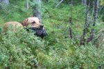 sommaren 2009 230
